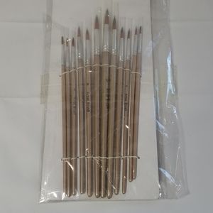 Artist Water Color Brushes